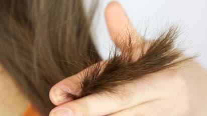 മുടി വെട്ടിയത് തെറ്റിപ്പോയി; കസ്റ്റമര്ക്ക് രണ്ട് കോടി നഷ്ടപരിഹാരം നല്കാന് ഉത്തരവ്