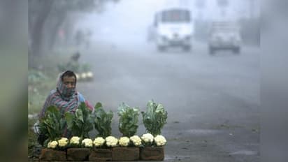 অবশেষে শীতের দেখা মিলল শহরে , পারদ নামতে পারে ১৭ এর নীচে