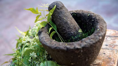 শরীর থেকে সৌন্দর্য, সবেতেই উপকারী নিমপাতা