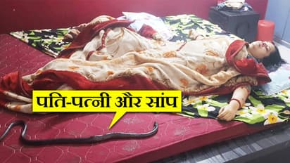 फिल्मी अंदाज में पत्नी का मर्डर, बगल में पड़ा था सांप...पोस्टमॉर्टम रिपोर्ट देख पुलिस भी SHOCKED