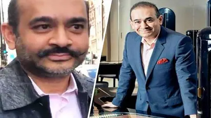PNB scam: Nirav Modi declared fugitive economic offender by special court in Mumbai