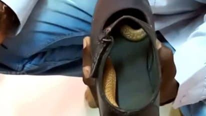 ஷூவுக்குள் கைவிட்ட பெண்ணை கடித்த பாம்பு... சிறிது நேரத்தில் தலைக்கேறிய விஷத்தால் உயிரிழப்பு..!