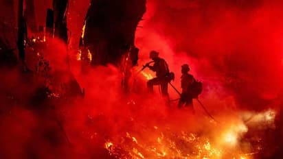 சூடான் நாட்டு தீயில் கருகிய 20 இந்தியர்கள்...!!  உடல்களை கொண்டுவர அரசுக்கு கோரிக்கை..!!