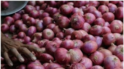 25 രൂപയ്ക്ക് ഒരു കിലോ ഉള്ളി; വില്പ്പന കേന്ദ്രത്തില് തിക്കും തിരക്കും, നിരവധി പേര്ക്ക് പരിക്ക്