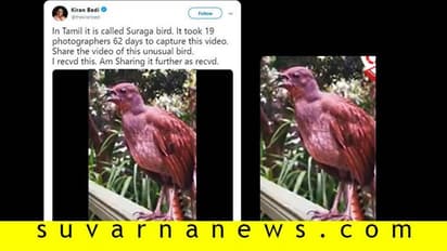 Fact Check| ಈ ಹಕ್ಕಿಯ ವಿಡಿಯೋ ಸೆರೆ ಹಿಡಿಯಲು 62 ದಿನ ಬೇಕಾಯ್ತಂತೆ!