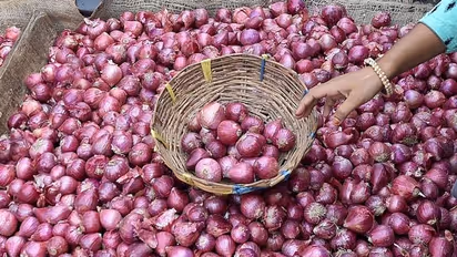Onions prices continue to surge leaving consumers in distress