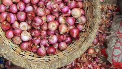 வெங்காய விலை உயர்வுக்கு மத்திய அமைச்சர் மீது வழக்கு: