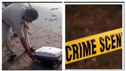 বাবাকে খুন করে স্যুটকেসে হাত-পা- গোপনাঙ্গ, পালিত কন্যাকে ধরিয়ে দিল সোয়েটার