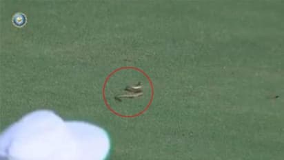 রঞ্জি ট্রফির প্রথম দিনই বিপত্তি, মাঠে সাপ ঢুকে পড়ায় খেলা শুরু হতে দেরি