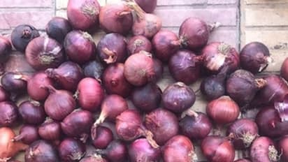 எவ்வளவு கஷ்டப்பட்டு இறக்குமதி செய்தால் ... வெளிநாட்டு வெங்காயத்தை வாங்க ஓவரா சிலுத்துக்கிறாங்க மக்கள்..!