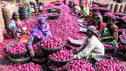 25 ரூபாய்க்கு 1 கிலோ வெங்காயம்..! அடித்துபிடித்து திரளும் பொதுமக்கள்..!