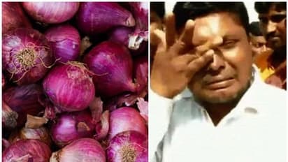 தமிழகத்திற்கு வந்த எகிப்து வெங்காயம் எப்படி இருக்கும்..? ஆர்வம் காட்டாத மக்கள்..!