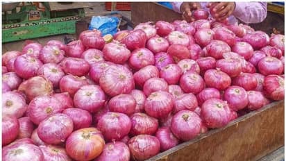 ബൈക്കിലെത്തിയ മോഷ്ടാക്കൾ അമ്പത് കിലോ ഉള്ളി തട്ടിയെടുത്തു; മോഷണം പെരുകുന്നു