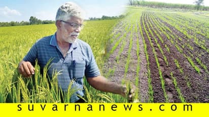 ಅತ್ಯಂತ ಕಡಿಮೆ ನೀರು ಬಳಸಿ ಬಂಪರ್ ಭತ್ತ ಪಡೆದ ಮೈಸೂರು ರೈತ!