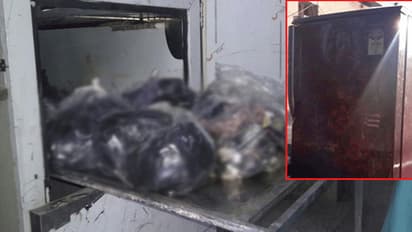 पत्नी का मर्डर कर लाश के टुकड़े फ्रिज में रखे, 2 बच्चों के साथ वहीं बिताए 7 दिन, फिर यूं निकालता रहा