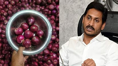 കേരളത്തിലടക്കം ഉള്ളിക്ക് തീവില; 25 രൂപ നിരക്കിൽ ഉളളിയെത്തിച്ച് ആന്ധ്ര മുഖ്യമന്ത്രി