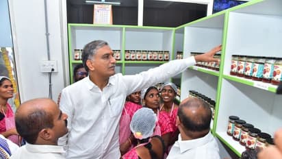 ఇంటింటికి నాన్ వెజ్: మీట్ ఆన్ వీల్స్ వాహనాన్ని ప్రారంభించిన హరీశ్