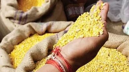 dal price rise:பருப்பு விலை உயர்வைக் கட்டுப்படுத்த அத்தியாவசியப் பொருட்கள் சட்டம் பாய்ந்தது மத்திய அரசு அதிரடி