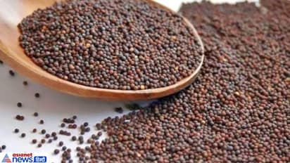 தீராத நோய்களையும் தீர்க்கும் கடுகு வைத்தியம்! 