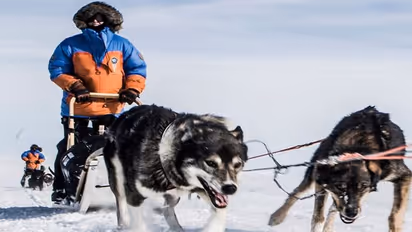 വിദ്വേഷം പരത്തി വോട്ടുപിടുത്തം; പോളാര് യാത്രാ വിജയികളുടെ പ്രഖ്യാപനം നീട്ടി ഫിയല് റാവന്