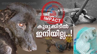 ബ്ലാക്കി വേദന തിന്നത് വെറുതെയായില്ല, കഴുത്തിൽ മരണക്കുരുക്ക് മുറുകില്ല, പട്ടിപിടുത്തം ഇനി 'വലവീശി' മാത്രം