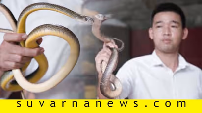 ಈ ಹೋಟೆಲ್ ಮೆನುವಿನಲ್ಲಿ ಸಿಗೋದು ಆಹಾರವಲ್ಲ, ಬರಿ ಹಾವುಗಳು!