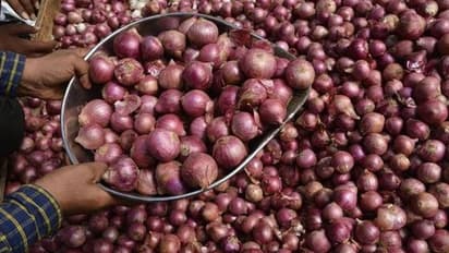 200 കടന്ന ഉള്ളിവില; കര്ഷകര്ക്ക് കിട്ടുന്നതെത്ര, ലാഭം മുഴുവന് കയ്യാളുന്നത് ആര്?