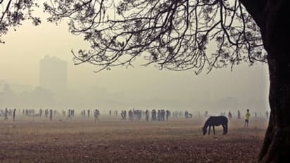 পশ্চিমী ঝঞ্ঝার জেরেই শীত ঢুকতে বাধা পাচ্ছে, শহরের আকাশ মেঘলা থাকার সম্ভাবনা