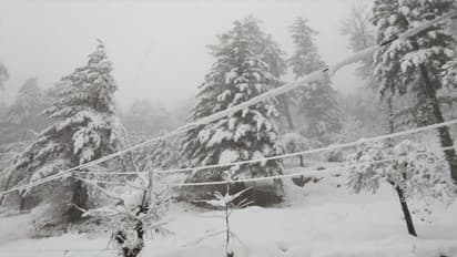 कश्मीर में भारी बर्फबारी, बंद करना पड़ा जम्मू श्रीनगर नेशनल हाइवे