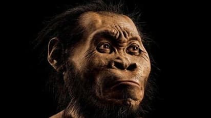 ആധുനിക മനുഷ്യരുണ്ടായത് ഈ പ്രദേശത്ത്, മനുഷ്യന്റെ 'മാതൃരാജ്യം' ഇതോ?