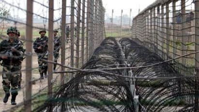 कोहरे का फायदा उठा सीमा पार करने की कोशिश कर रहा था घुसपैठिया , बीएसएफ ने मार गिराया