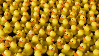 Unwanted record 100: Pakistan batsman completes century of ducks