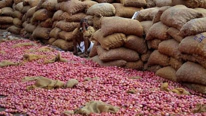 5 गुना बढ़े दाम, पिछले साल के मुकाबले प्याज का औसत मूल्य 101 रुपये प्रति किलो