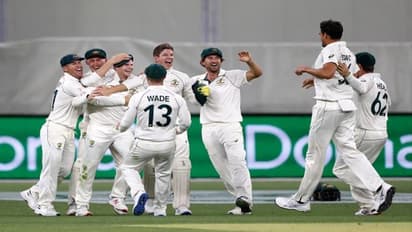 নিউজিল্যান্ডের বিরুদ্ধে অসামান্য ক্যাচ নিলেন স্টিভ স্মিথ, চাপে কিউইরা