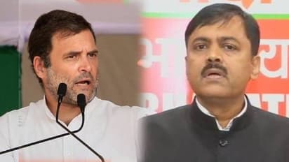 'രാഹുല് ഗാന്ധിയ്ക്ക് ചേരുക രാഹുല് ജിന്നയെന്ന പേര്'; 'സവർക്കറുടെ മാപ്പ്' പരാമർശത്തിൽ ബിജെപി