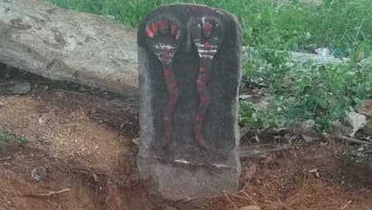 ದೇವಾಲಯದ ಆವರಣ ಅಸ್ತವ್ಯಸ್ತ : ನಾಗ ವಿಗ್ರಹದ ಕೆಳಗಿತ್ತಾ ನಿಧಿ?