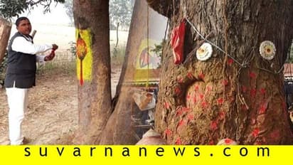 ಮರ ಕಡಿಯಲು ಹೋದವರು ಪೂಜೆ ಮಾಡ್ತಾರೆ!: ಪರಿಸರವಾದಿಯ ಐಡಿಯಾ ಫುಲ್ ಕ್ಲಿಕ್!