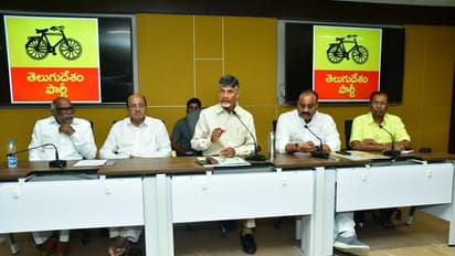 చంద్రబాబు అధ్యక్షతన టిడిఎల్పి సమావేశం... చర్చించిన అంశాలివే