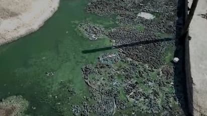 ಬದಲಾದ ಕೆರೆ ನೀರಿನ ಬಣ್ಣ : ಉಸಿರು ಕಟ್ಟುತ್ತಿದೆ ವಿದ್ಯಾರ್ಥಿಗಳಿಗೆ