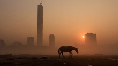 ঘন কুয়াশায় শহরে সূর্যোদয়, তাপমাত্রার পারদ ১৮ ডিগ্রি সেলসিয়াসে