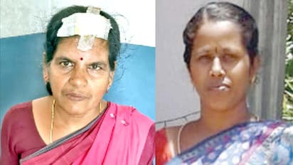 மாமியார் தலையை கடித்துக் குதறிய மருமகள்..! குடும்பத் தகராறில் வெறிச்செயல்..!