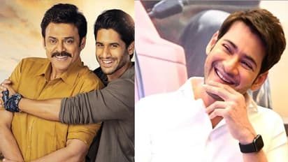 మామ అల్లుళ్ళ కెమిస్ట్రీ పై మహేష్ కామెంట్