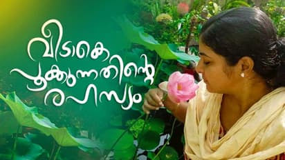 സ്വന്തം പൂന്തോട്ടത്തില് സുജിതയുടെ പരീക്ഷണം, പഴയ തുണികളിനി ചെടിച്ചട്ടിയാക്കാം, ഹാര്പിക് ബോട്ടിലോ, പൗഡര് ടിന്നോ ഒന്നും കളയുകയേ വേണ്ട