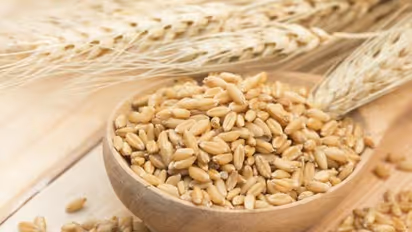 ಗೋಧಿ, ಮೈದಾ... ಇವೆರಡರಲ್ಲಿ ಅರೋಗ್ಯಕ್ಕೆ ಯಾವುದು ಒಳಿತು?