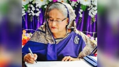 প্রমাণ দিলে 'অবৈধ বাংলাদেশিদের' ফিরিয়ে নেবে দেশ, ভারতে এসে বার্তা হাসিনার উপদেষ্টার