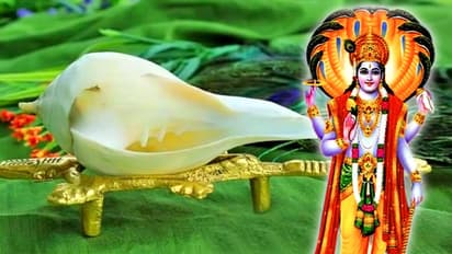 14 जनवरी से पहले रोज करें ये 7 आसान उपाय, हो सकती है आपकी हर इच्छा पूरी