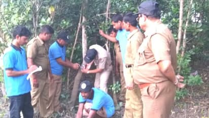 দুর্যোগের পর বাঘের সংখ্য়া কত, ক্য়ামেরা বসিয়ে গণনার কাজ শুরু সুন্দরবনে