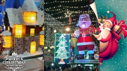 বড়দিনের আমেজে সেজে উঠল নিউ মার্কেট, ভিড় জমাল আট থেকে আশি