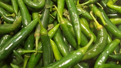 লঙ্কা খেয়ে ওজন কমান, জেনে নিন কীভাবে কাঁচা লঙ্কার গুণে ওজন কমবে