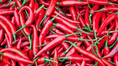 ചുവന്ന മുളക് ഹൃദ്രോഗ, മസ്തിഷ്കാഘാത സാധ്യതകൾ കുറയ്ക്കുമോ...?